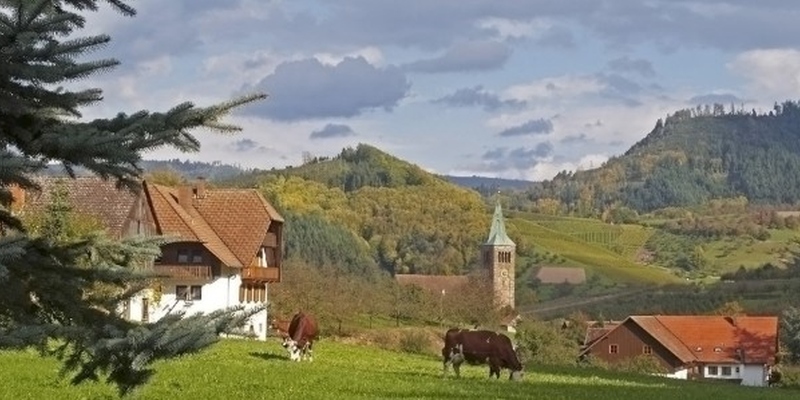 Bauernhof in Ödsbach