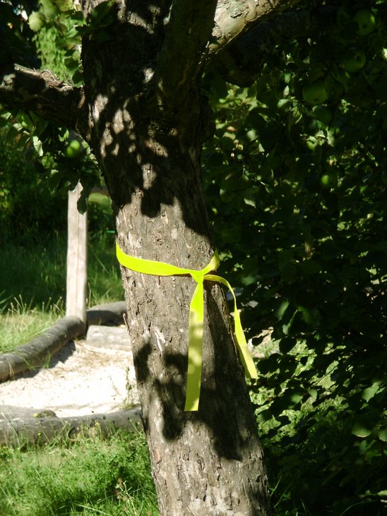 Bild eines gelbe Markierungsband an einem Obstbaum.